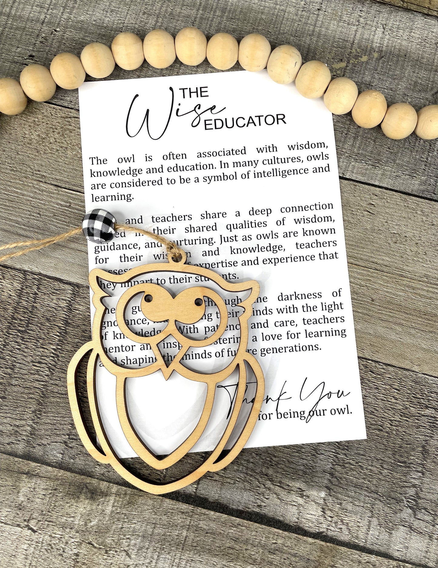 The Wise Educator Owl Ornament